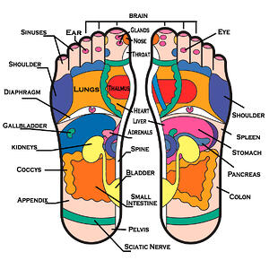 footreflexology footreflexology