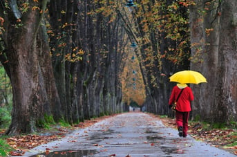 Menschen, die im Herbst in einer langen Gasse spazieren gehen Herbstsaison, die unendliches Konzept und gesunden Lebensstil in der Natur darstellt.jpeg